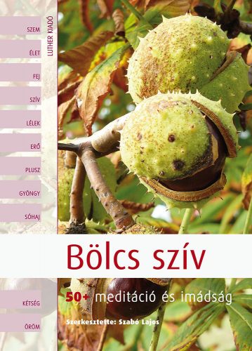 Bölcs szív 