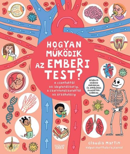 Hogyan működik az emberi test? – A csontoktól az idegrendszerig, a szervrendszerektől az érzékelésig